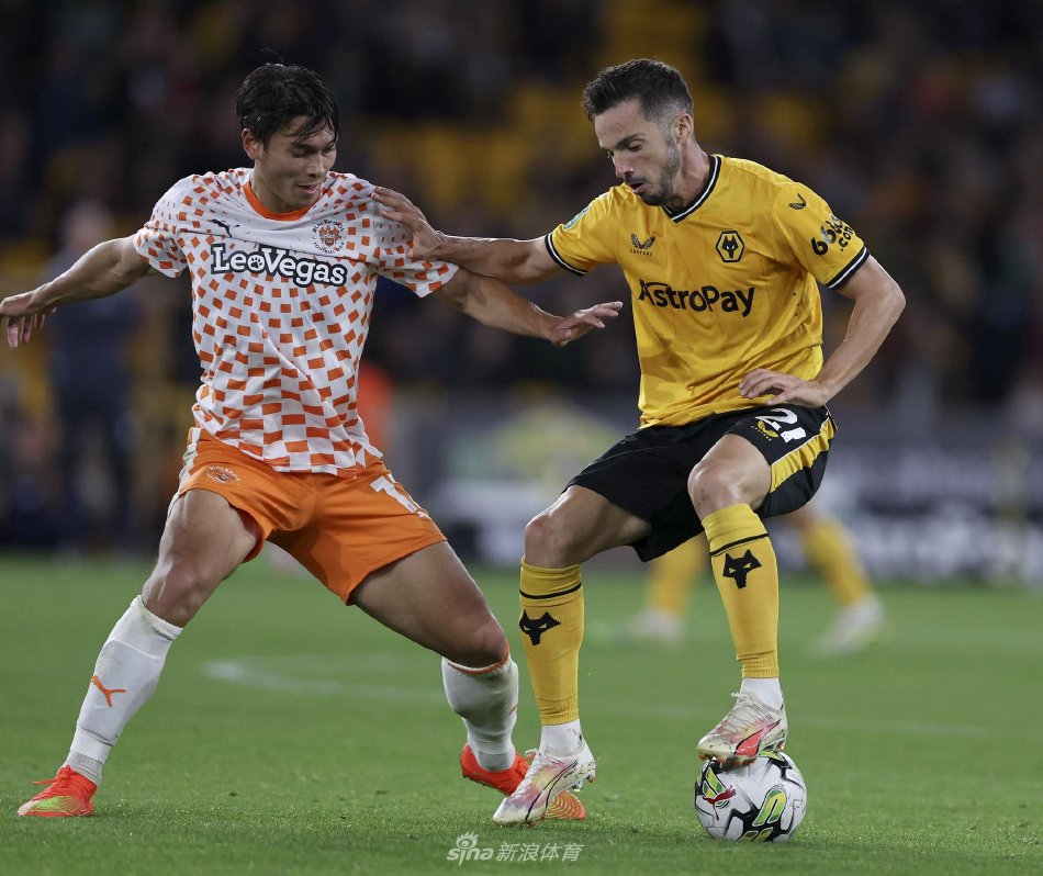 已自然融入 已自然融入